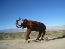 PICTURES/Borrega Springs Sculptures - Elephants, Gomphothe & Mammoths/t_IMG_8892.JPG